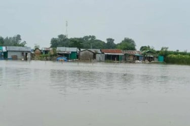 চাঁপাইনবাবগঞ্জে পদ্মার পানি কমলেও বন্যা ক্ষতিগ্রস্ত এলাকায় খাদ্য ও পানির সংকট অব্যাহত