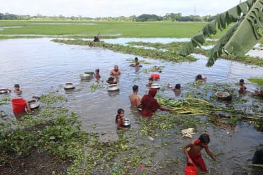 মাছবোঝাই পিকআপ খাদে, উৎসব করে ধরলেন স্থানীয়রা