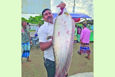 পদ্মার ৯ কেজি চিতল ২০ হাজারে বিক্রি