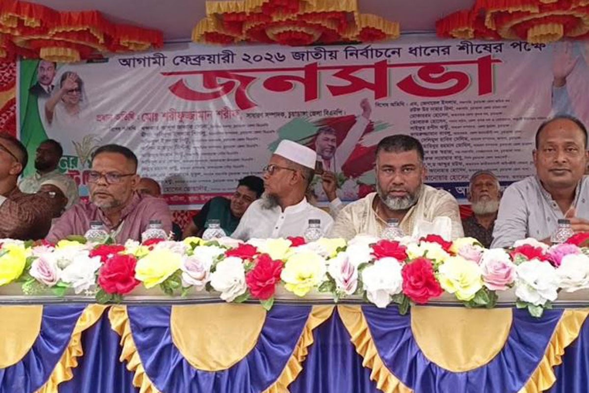 আগামী নির্বাচনে ধানের শীষকে বিজয়ী করতে আলমডাঙ্গায় জনসভা অনুষ্ঠিত