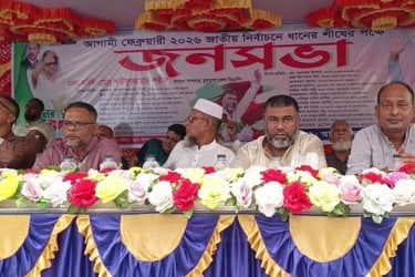 আগামী নির্বাচনে ধানের শীষকে বিজয়ী করতে আলমডাঙ্গায় জনসভা অনুষ্ঠিত