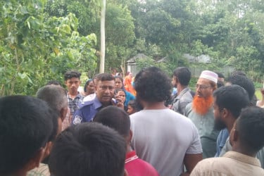 বিলের ধার থেকে গলাকাটা লাশ উদ্ধার