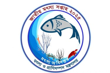 সোমবার থেকে ‘জাতীয় মৎস্য সপ্তাহ’ শুরু
