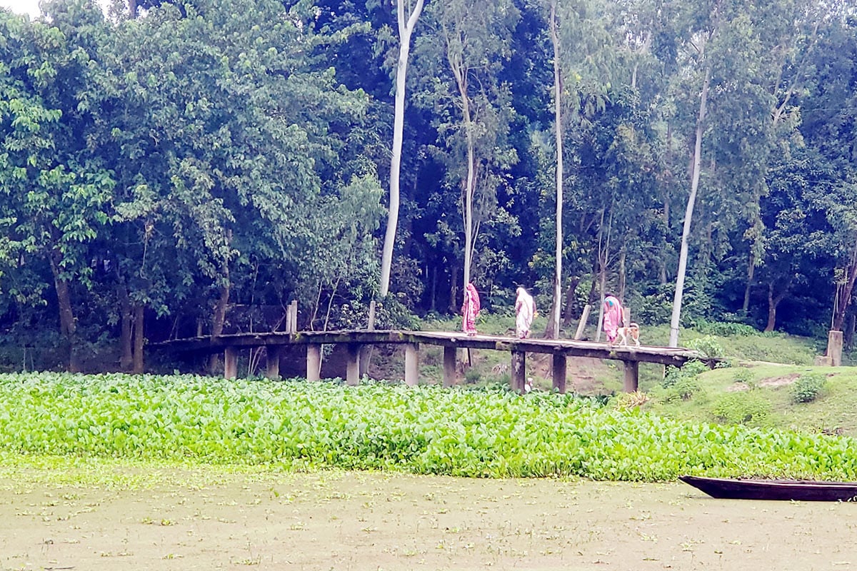 দিনাজপুরে ৭ গ্রামের মানুষের ৩০ বছর ধরে সেতুর অপেক্ষা