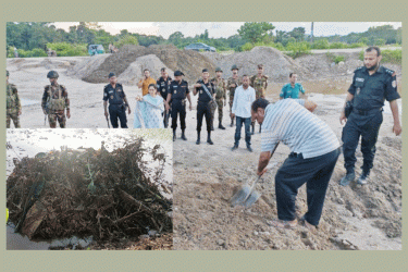 এবার ধানক্ষেত থেকে সাদা পাথর উদ্ধার