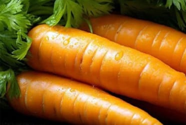 গাজর খাওয়ার ৫ উপকারিতা
