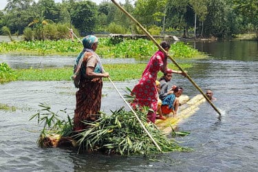 স্রোত-কচুরিপানার চাপে ভাঙল বাঁশের সাঁকো, জনদুর্ভোগ চরমে