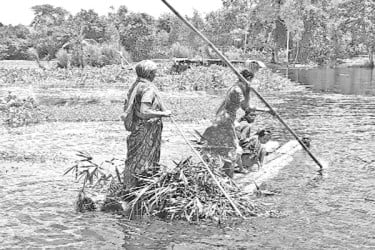 বাঁশের সাঁকো ভেঙে জনদুর্ভোগ