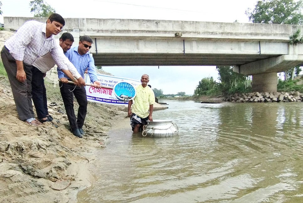 বীরগঞ্জে জলাশয়ে পোনামাছ অবমুক্ত
