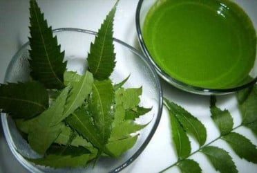 ত্বক-চুলের যত্নে নিমপাতা