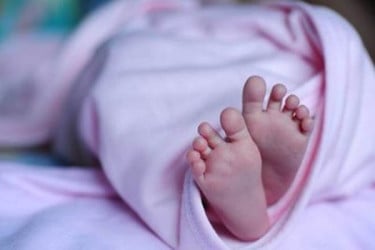 তিস্তায় ভেসে এলো নবজাতকের মরদেহ