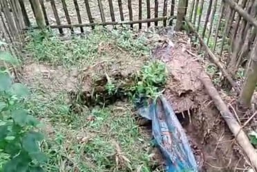 উল্লাপাড়ায় কবর থেকে ৭ কঙ্কাল চুরি