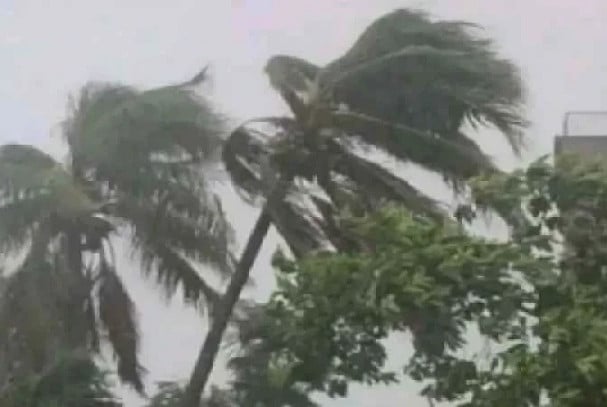 সন্ধ্যার মধ্যে ৯ জেলায় ঝড়ের আভাস