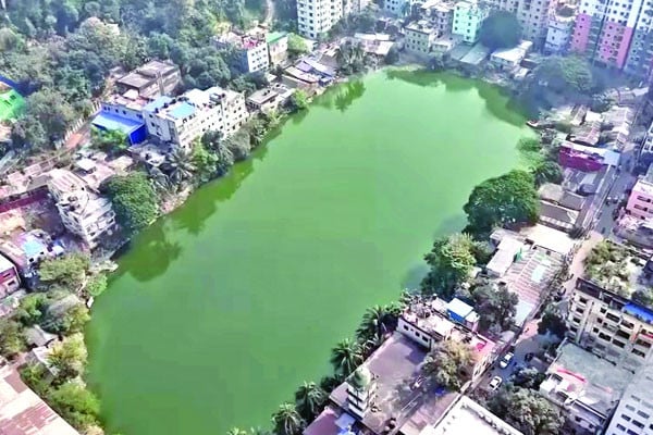দখল-দূষণে বিপর্যস্ত শতবর্ষী দিঘি