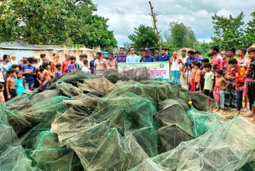 বগুড়ায় ৩২ নিষিদ্ধ চায়না দুয়ারি জাল ধ্বংস