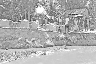কমছে পানি তীব্র ভাঙন তিস্তায়