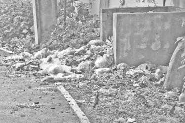 আবর্জনায় দুর্বিষহ জনজীবন