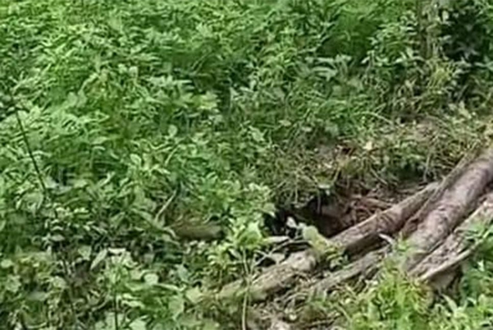 গাইবান্ধায় কবরস্থান থেকে ১৮ কঙ্কাল চুরি