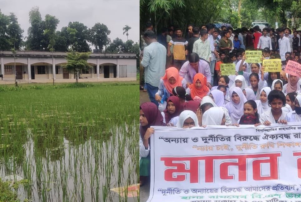 বিদ্যালয়ের মাঠে ধান চাষ, প্রধান শিক্ষকের অপসারণ দাবিতে বিক্ষোভ