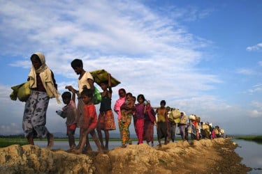 ভুয়া তথ্যে রোহিঙ্গারা হয়ে যাচ্ছে ‘বাংলাদেশি’