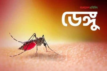 সিলেট বিভাগে ডেঙ্গু রোগী ১০০ ছাড়াল