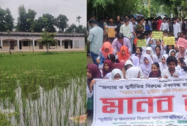 বিদ্যালয়ের মাঠে ধান চাষ, প্রধান শিক্ষকের অপসারণ দাবিতে বিক্ষোভ