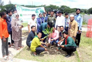 গোবিপ্রবিতে বৃক্ষরোপণ কর্মসূচি