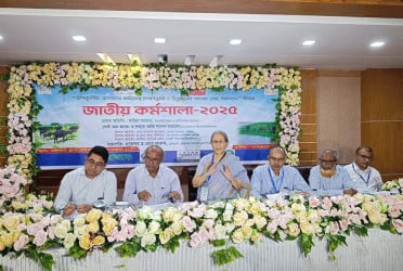 প্রাকৃতিক ও তথাকথিত উন্নয়নের কারণে ইলিশের উৎপাদন কমছে : মৎস্য উপদেষ্টা