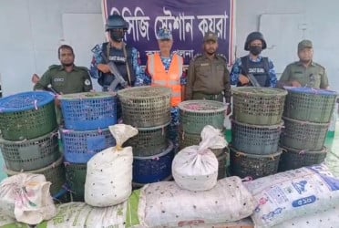 সুন্দরবন থেকে ৮৫০ কেজি কাঁকড়া জব্দ