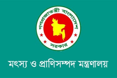 ১২০ টাকায় গরুর মাংস আমদানির কথা ভিত্তিহীন : প্রাণিসম্পদ মন্ত্রণালয়