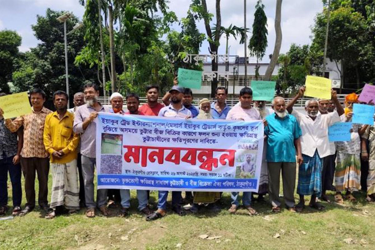 ঠাকুরগাঁওয়ে বীজ কিনে প্রতারিত হওয়া ক্ষতিগ্রস্ত কৃষকদের মানববন্ধন