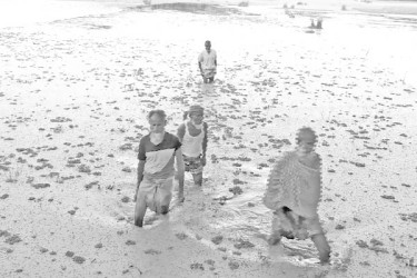 জলাবদ্ধতায় অনাবাদি চার বছর
