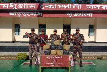 ফেনী সীমান্তে ভারতীয় গরু ও গাঁজা জব্দ