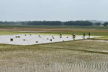 নেত্রকোনার পাহাড়ি অঞ্চলে আগাম আবাদে ব্যস্ত কৃষকরা
