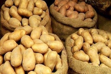 আলুর সর্বনিম্ন দাম বেঁধে দিল সরকার