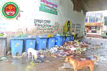 নাক চেপে চলতে হয় বন্দরনগরে