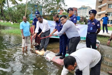 নোয়াখালীতে জলাশয়ে জাতীয় পোনা মাছ অবমুক্তকরণ কর্মসূচি পালিত