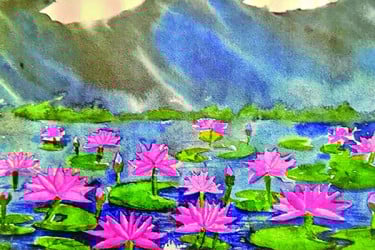 আঁকি বুকি
