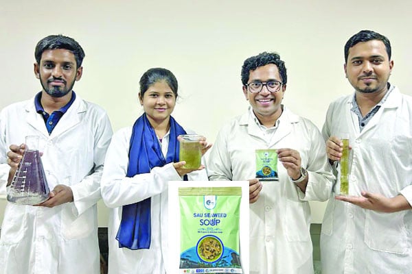 পুষ্টিকর শৈবাল সুপ উদ্ভাবন