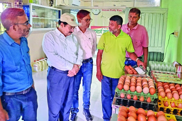 অ্যাপসে চলছে মুরগির খামার