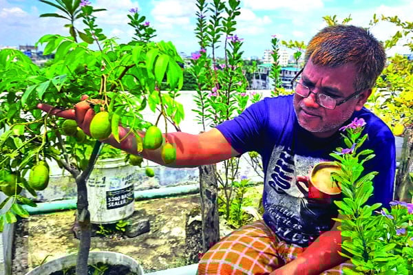 ছাদবাগান যেন গবেষণাগার