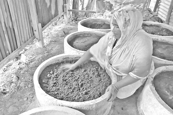 সাড়া ফেলেছে কেঁচো সার উৎপাদন