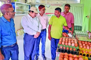 অ্যাপসে চলছে মুরগির খামার