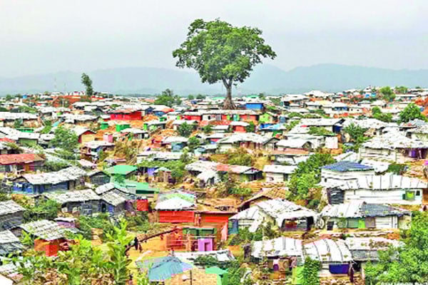 রোহিঙ্গা বাড়ছে ব্যাপকহারে