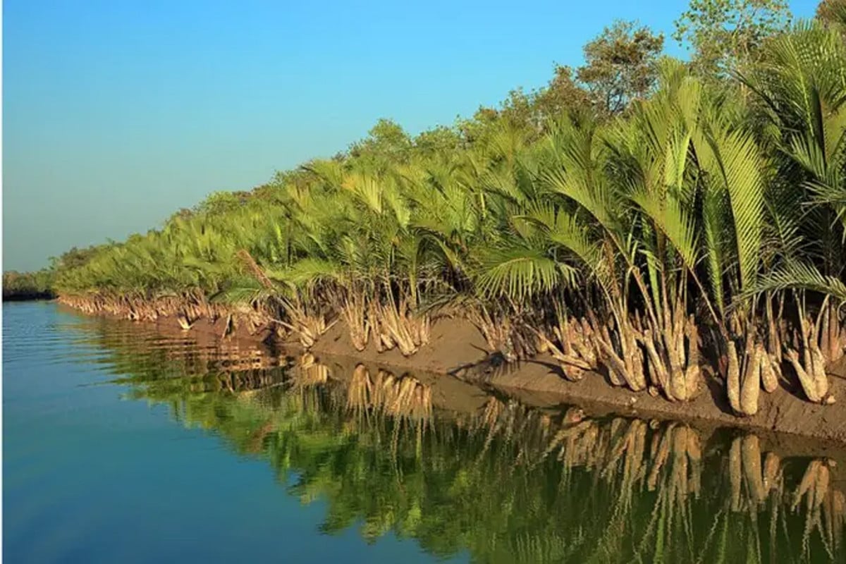 তিন মাস পর ফের সুন্দরবনের দুয়ার খুলছে সোমবার
