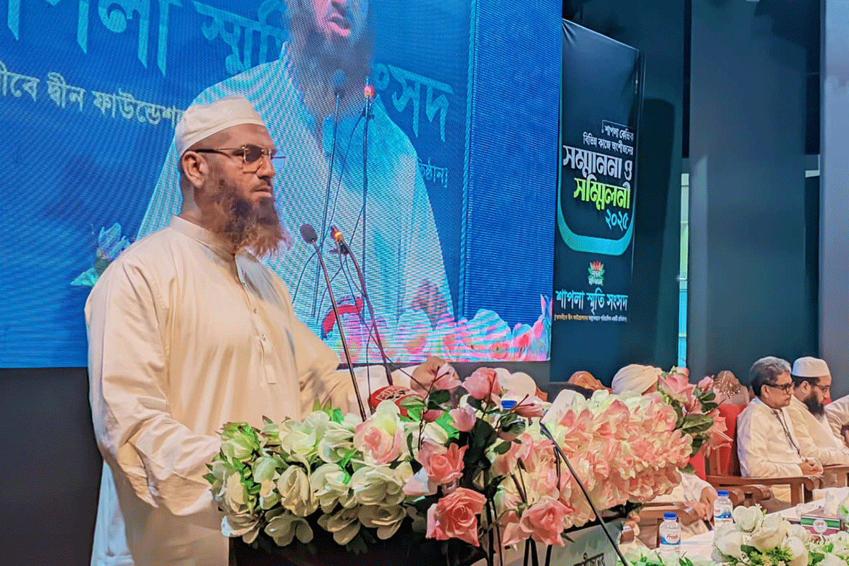 শাপলার চেতনা আগামীর বাংলাদেশের মাইলফলক: মামুনুল হক