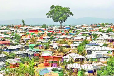 রোহিঙ্গা যখন বিষফোড়া