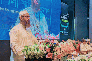 শাপলার চেতনা আগামীর বাংলাদেশের মাইলফলক: মামুনুল হক
