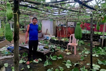 বিদেশ থেকে ফিরে ছাদ কৃষি চাষে সাফল্য