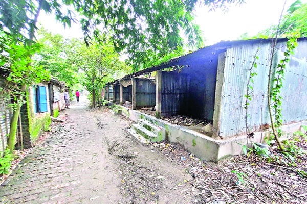 জরাজীর্ণ আশ্রয়ণের ঘর বসবাসের অনুপযোগী
